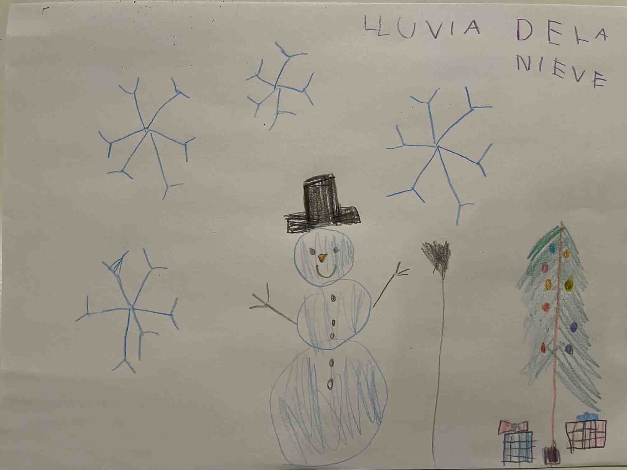 16.Lluvia de la nieve 6